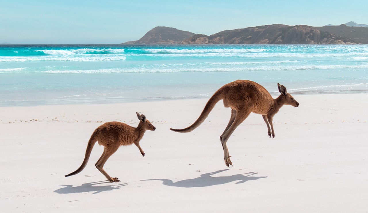 Australia y Nueva Zelanda, comienza su aventura