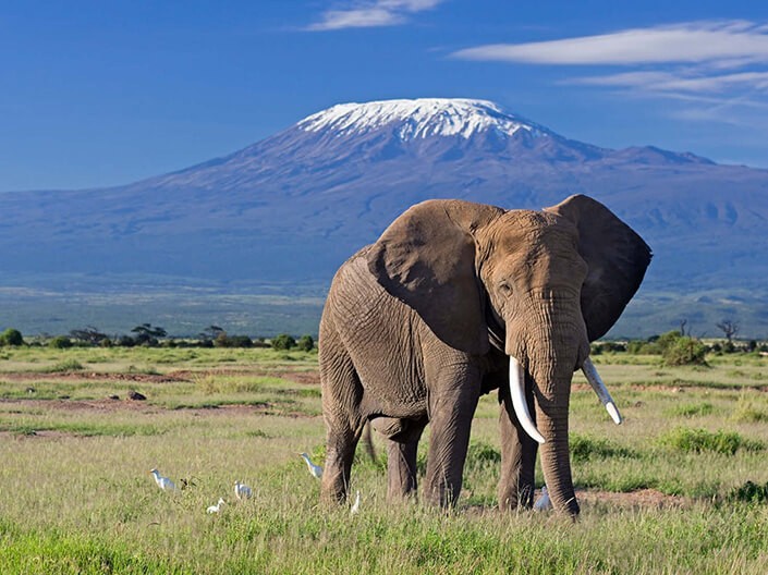 Kilimanjaro, Tanzania