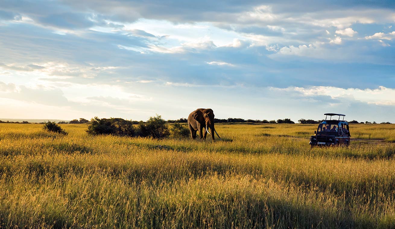 Discover African safaris
