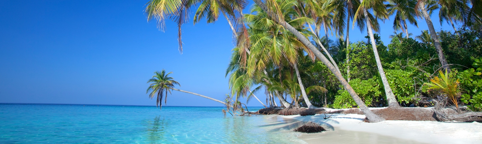 Hasta un 10% de descuento <br> para viajar en septiembre Use el código TRAVELPC. <br> Exclusivo para miembros de Privilege Club.Use el código TRAVELPC. <br> Exclusivo para miembros de Privilege Club.