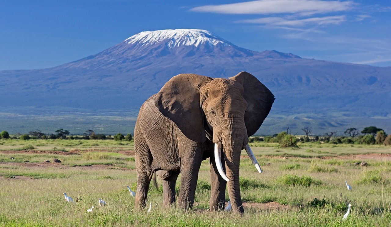 Kilimanjaro, Tanzania