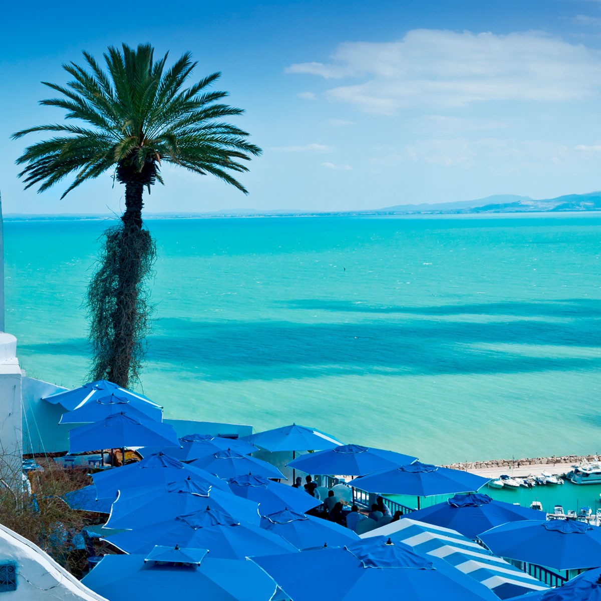 نُسيّر الآن رحلات إلى تونس