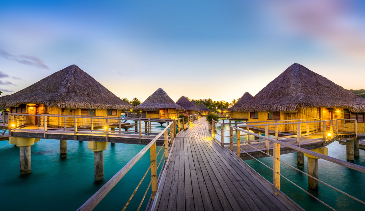 Book a vacation package