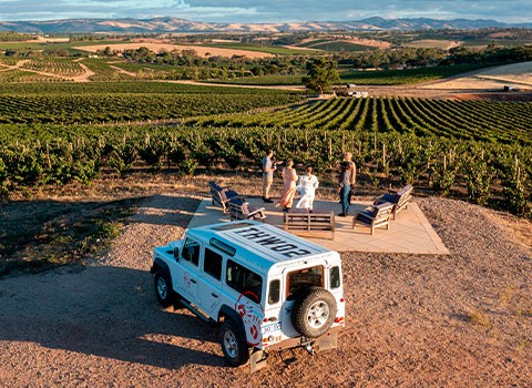 Connect to 35 destinations across Australia