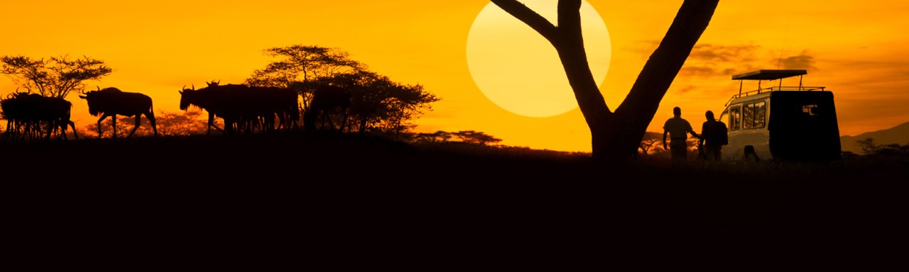 Safaris, beaches and other wonders await you Explore Africa during the best season - return fares from 632€Explore Africa during the best season - return fares from 632€