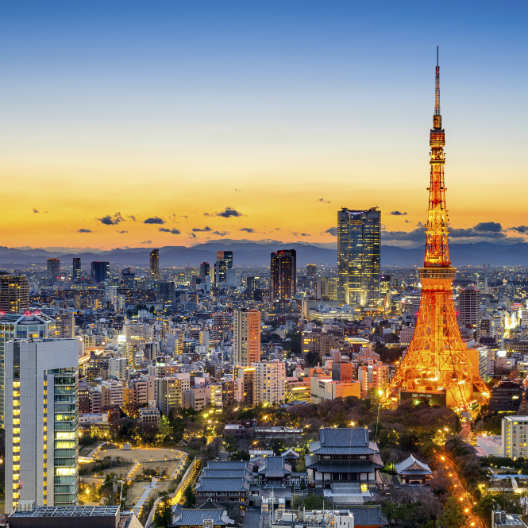 Dragon 🐉 - Tokyo, Japon