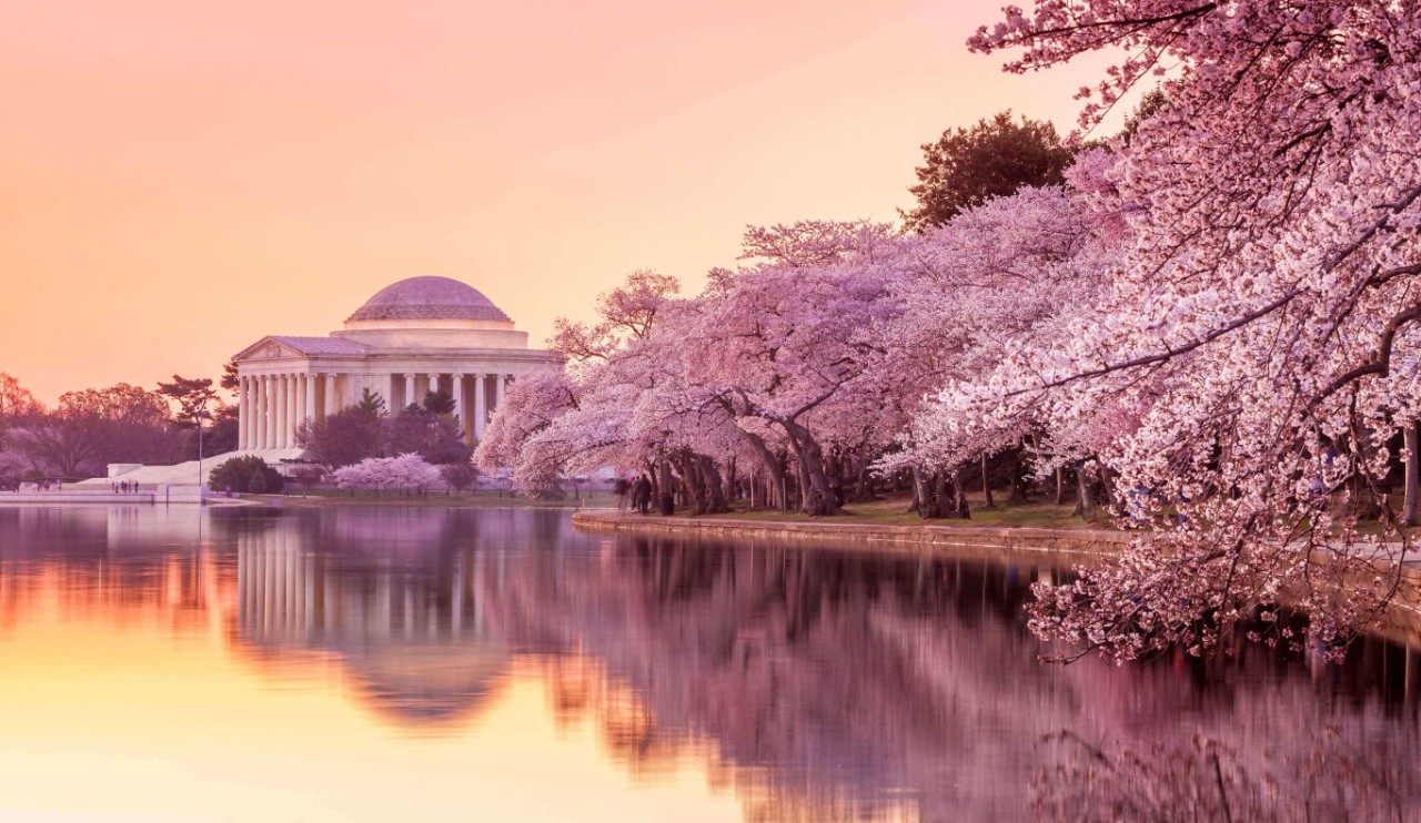 نقوم الآن بتسيير رحلات جوية إلى واشنطن