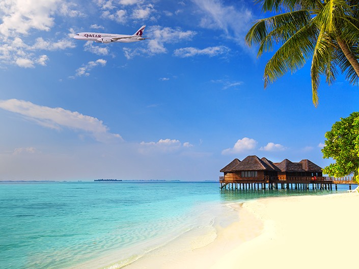 Explore our Privilege Club exclusive offers