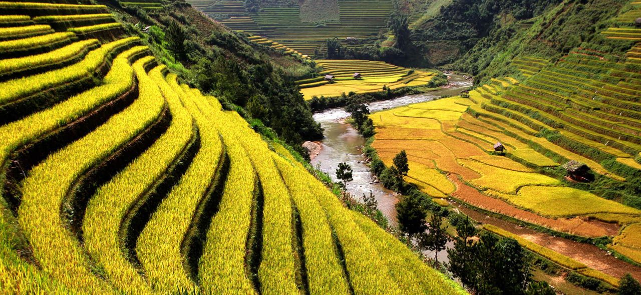 Now flying to Ho Chi Minh