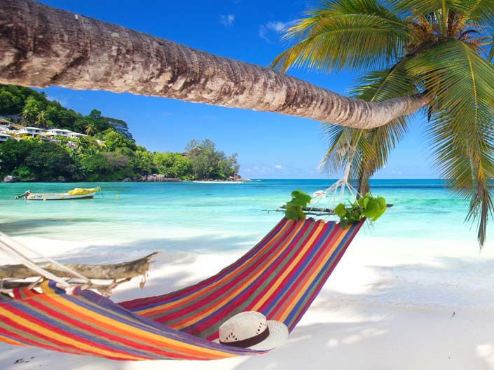 Détente au soleil image