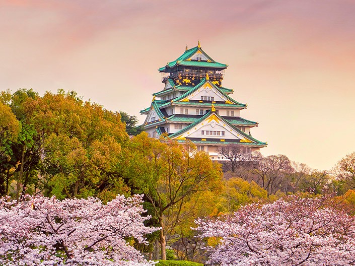 Chien 🐕 - Osaka, Japon