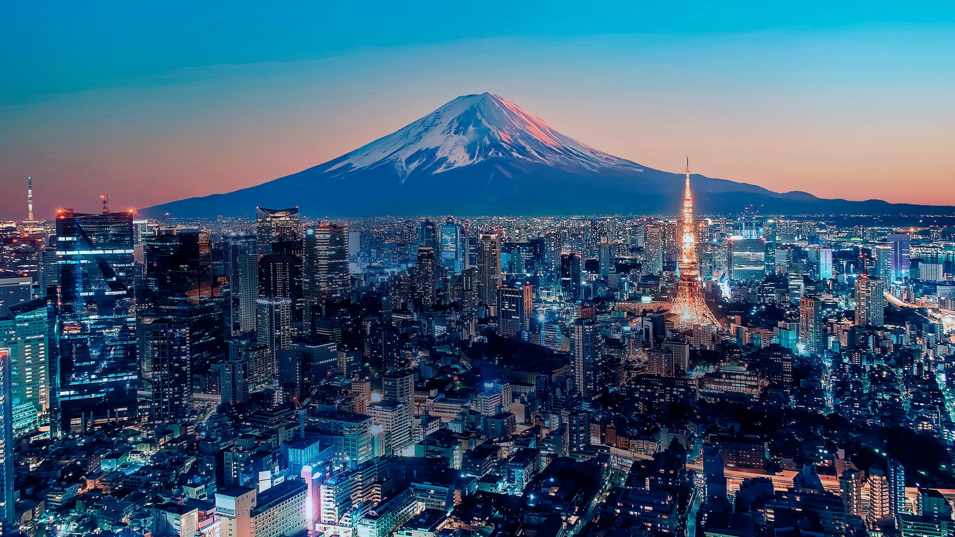Where will you go next?
