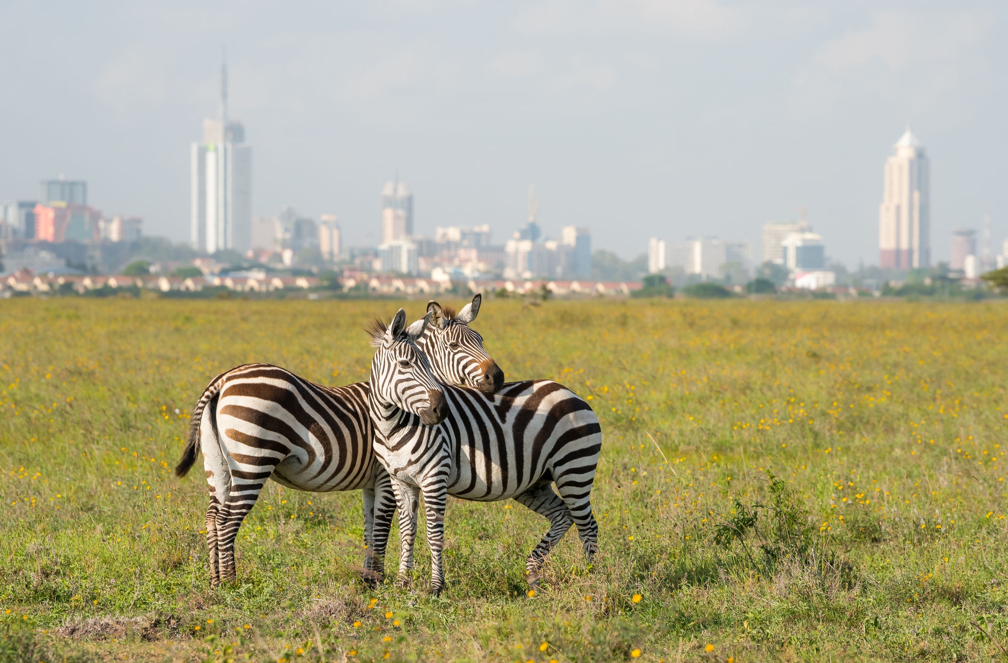Nairobi, Kenya image