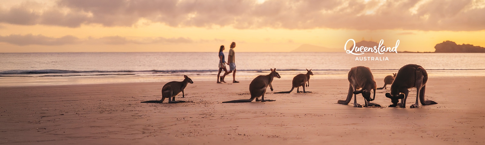 Experience unforgettable<br>adventures in Queensland Save up to 10% and feel Australia’s rarest beauty up close.Save up to 10% and feel Australia’s rarest beauty up close.