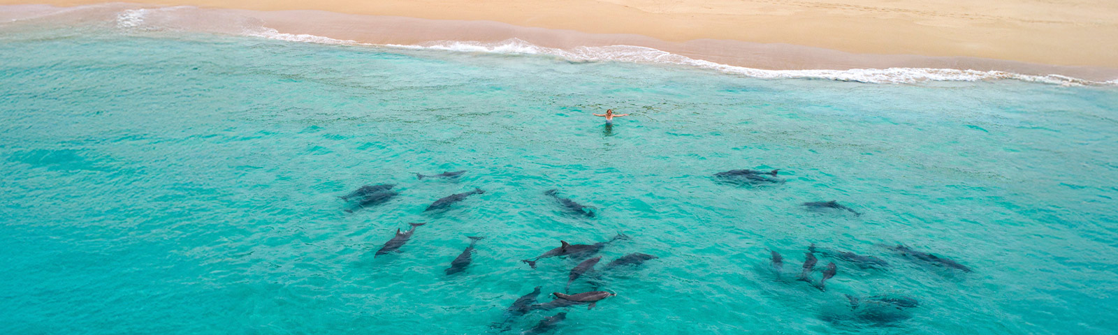 Make Australia<br>your next destination Enjoy special fares from £985Enjoy special fares from £985