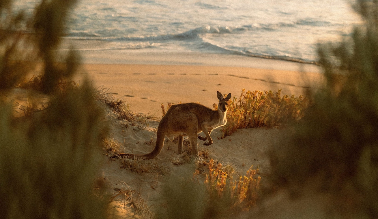 Up to 10% off Australia & New Zealand, including extra baggage & one free date change image