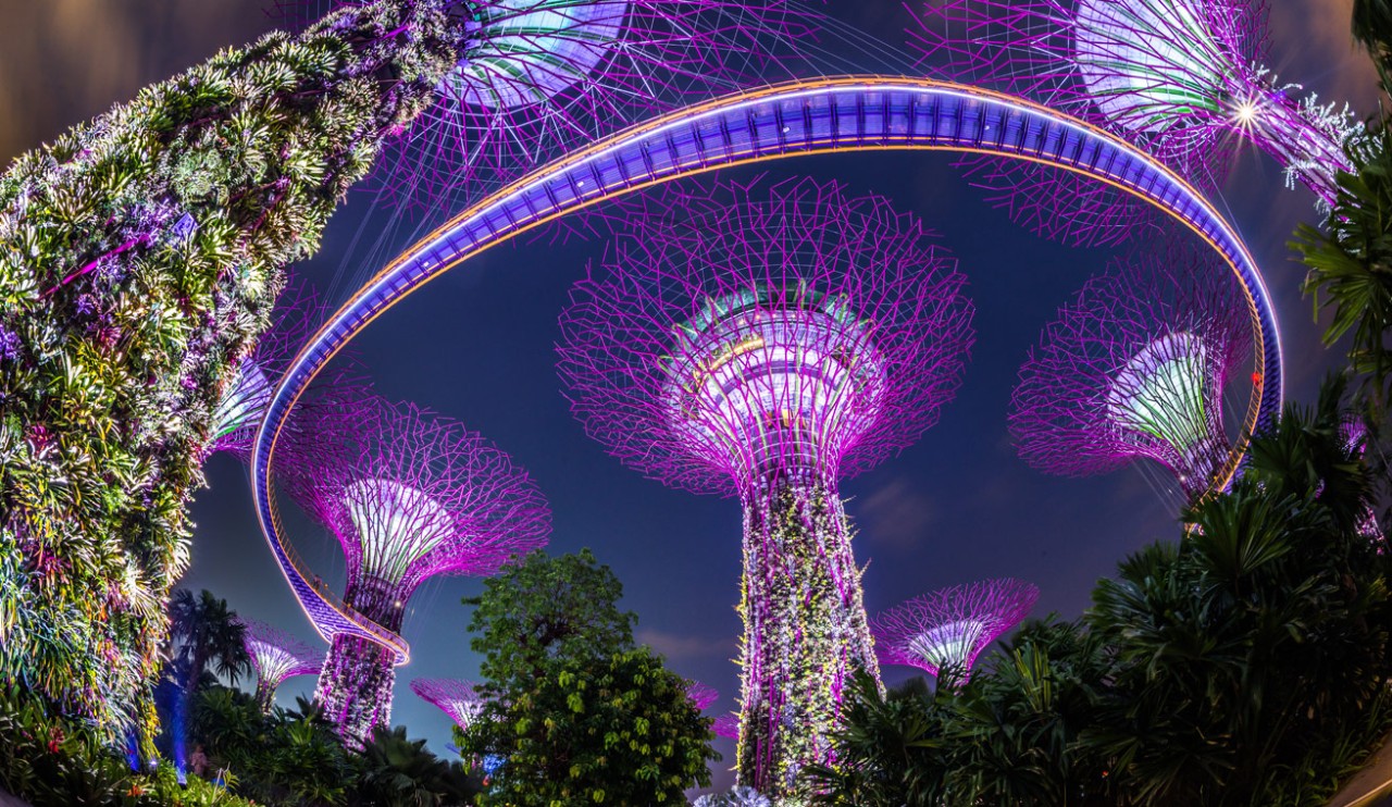 Lapin 🐇 - Singapour