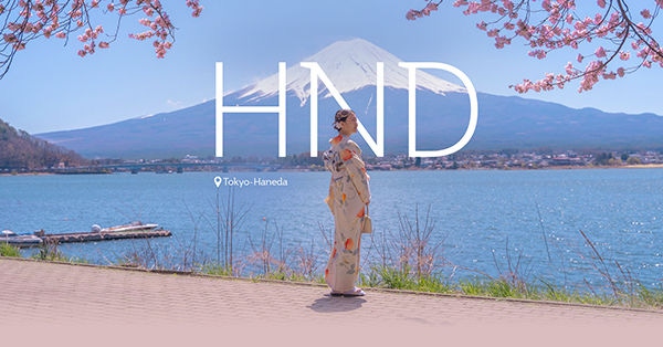 See Mount Fuji surrounded by cherry blossoms