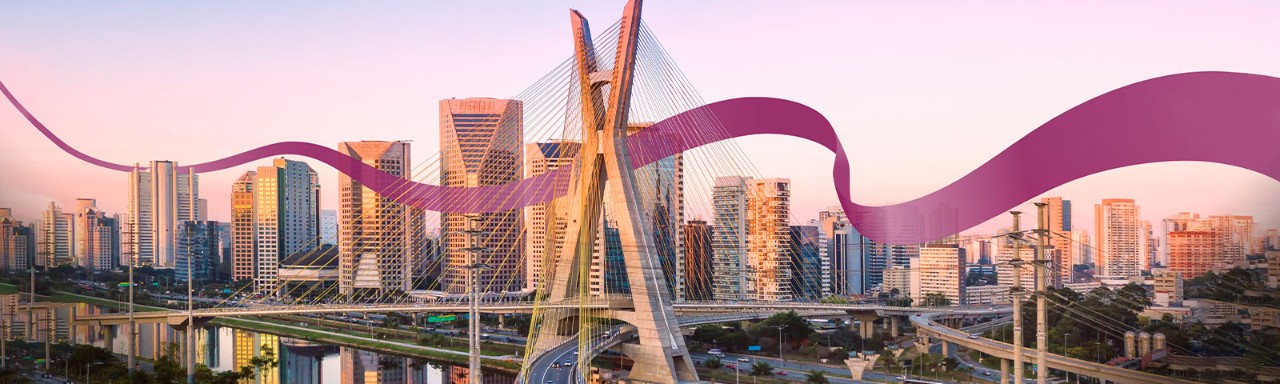 Aumento da frequência dos voos de/para São Paulo 3 voos diários a partir de 19 de fevereiro de 20263 voos diários a partir de 19 de fevereiro de 2026