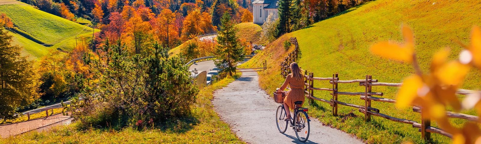 Immerse in autumn hues with<br/> our offers Save up to 20%*Save up to 20%*