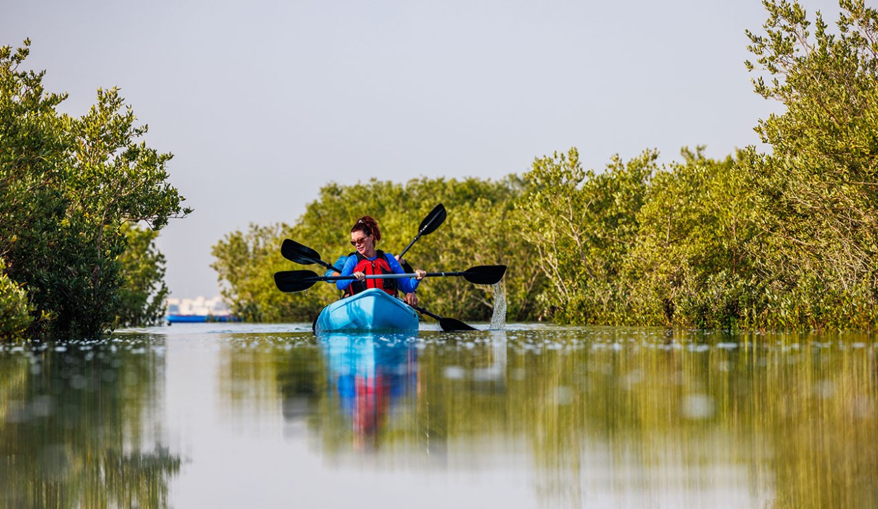 ارفع مستوى التشويق في تجربتك