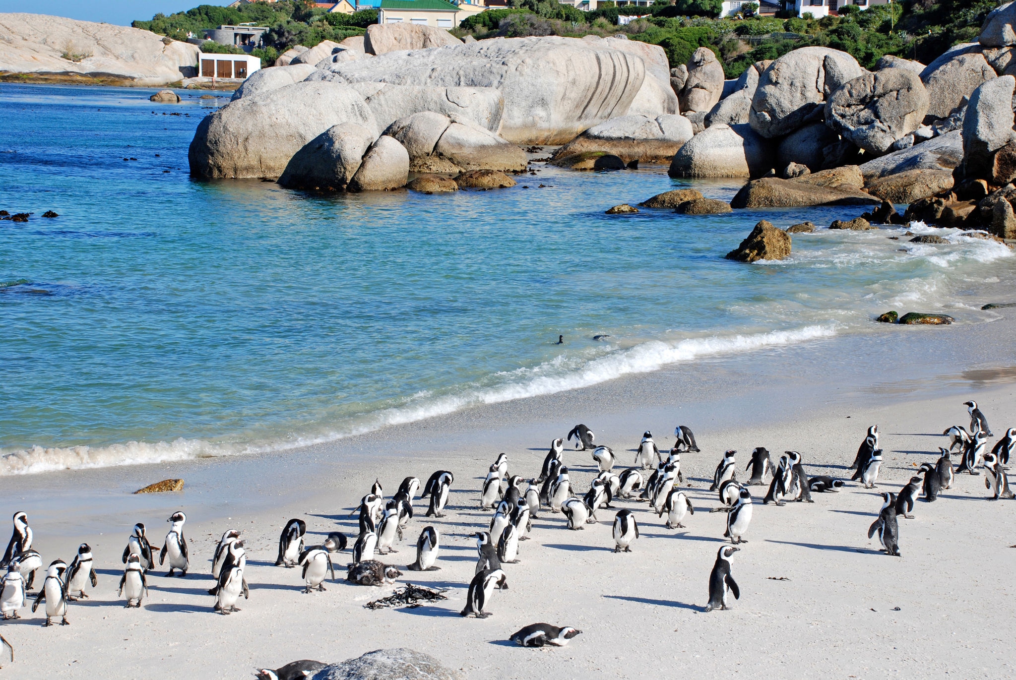 Cape Town, South Africa image