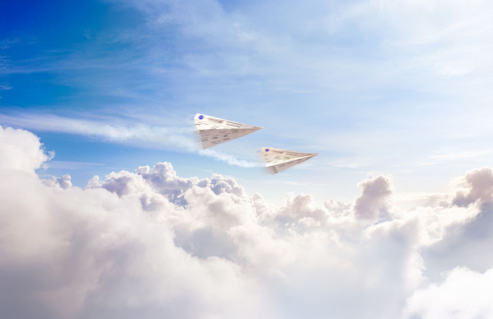 Companion flies free image