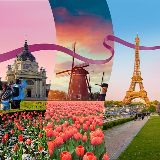 Why book online with us?