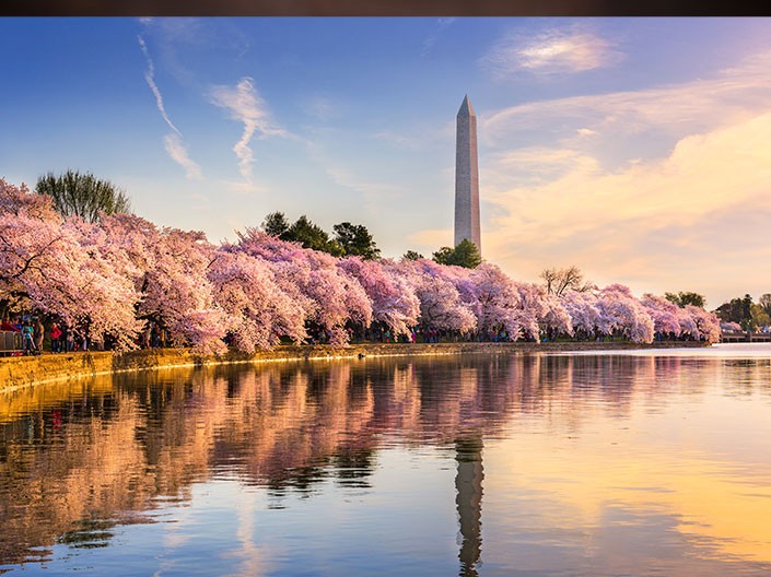 Your guide to touring North America image