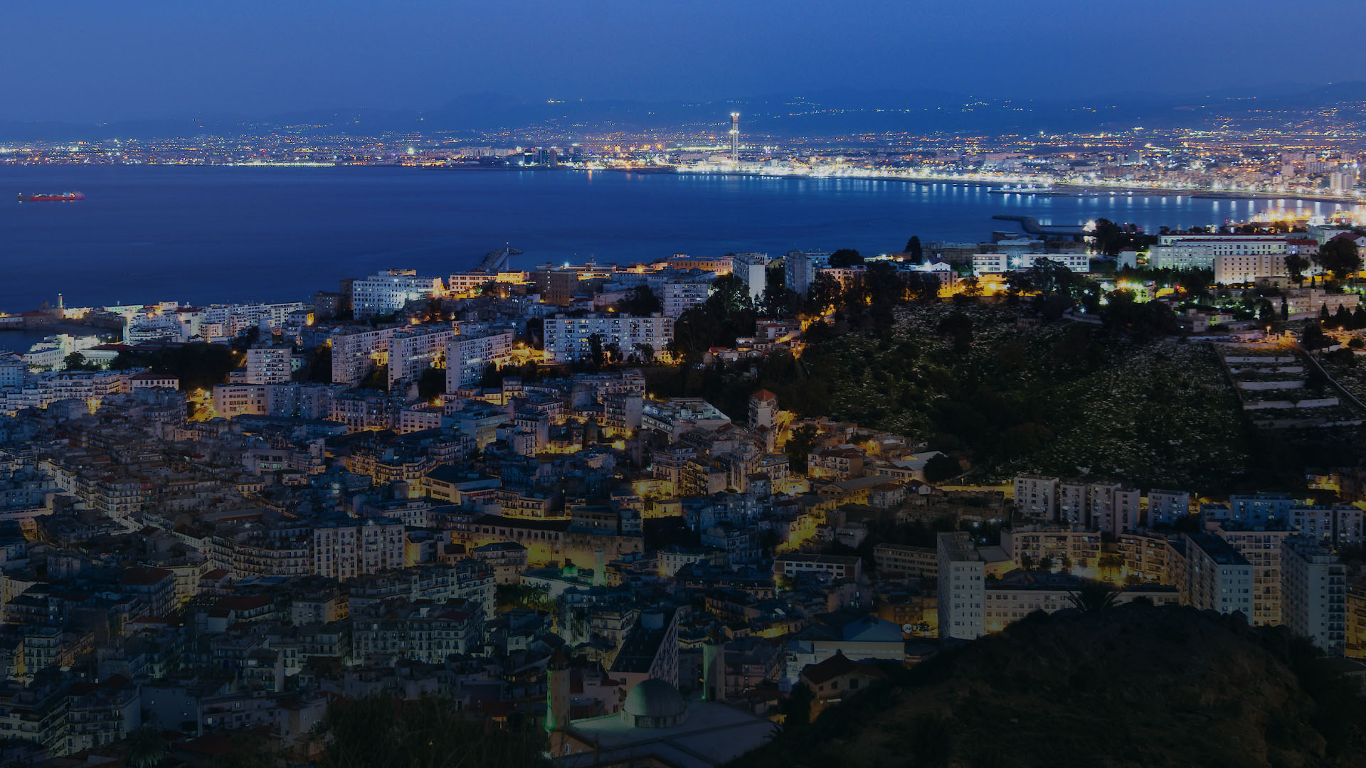 نقوم الآن بتسيير رحلات جوية إلى الجزائر