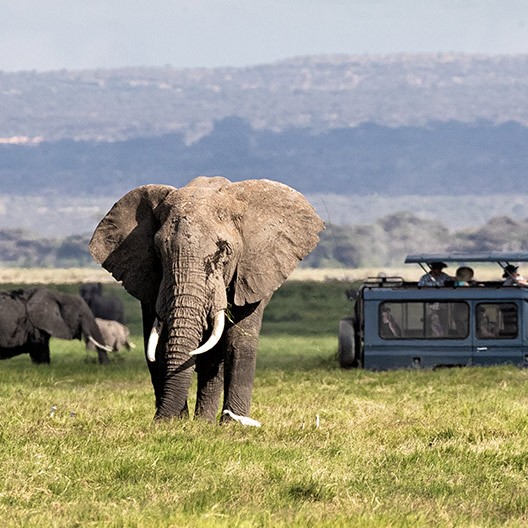Africa