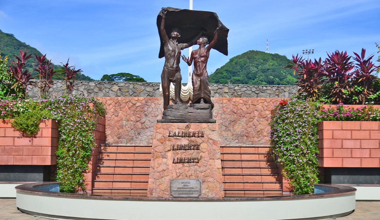 video-image