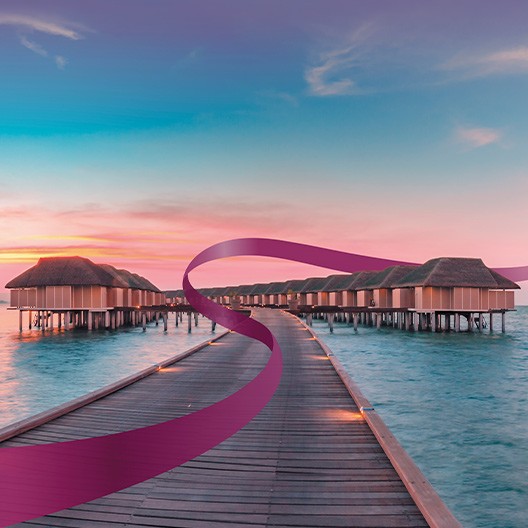 Holidays and experiences