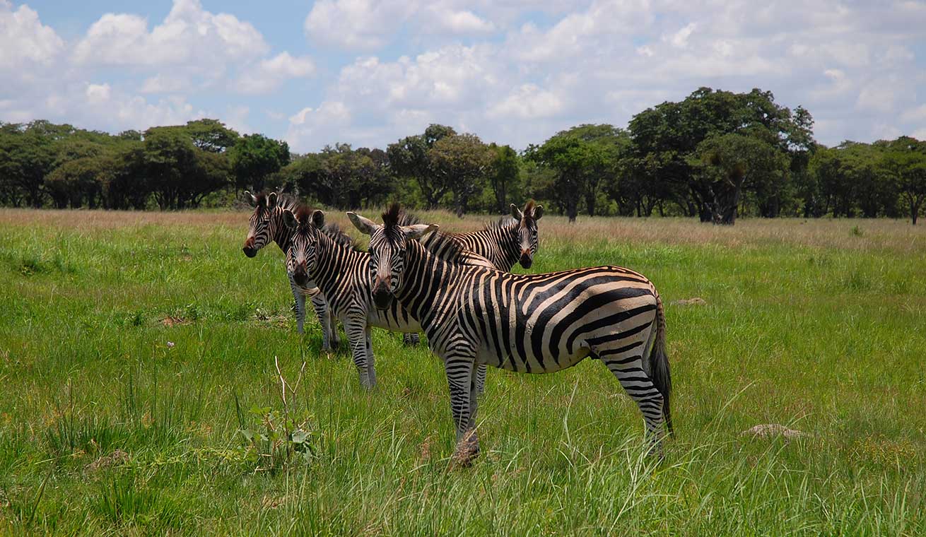 Harare, Zimbabwe