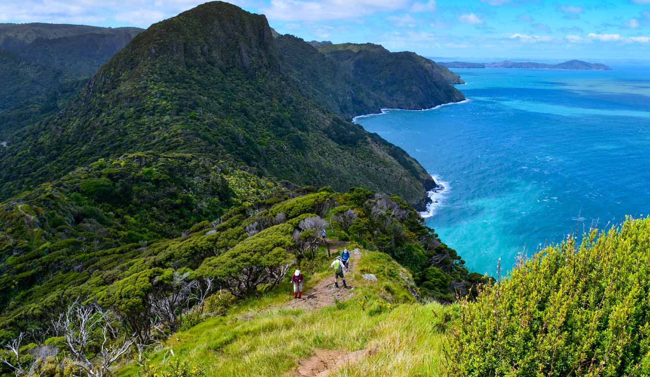 Auckland, New Zealand image
