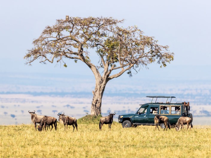 نقوم الآن بتسيير رحلات جوية إلى نيروبي