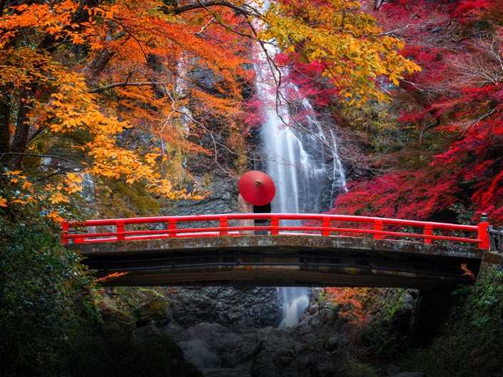 Byk: Kioto, Japonia