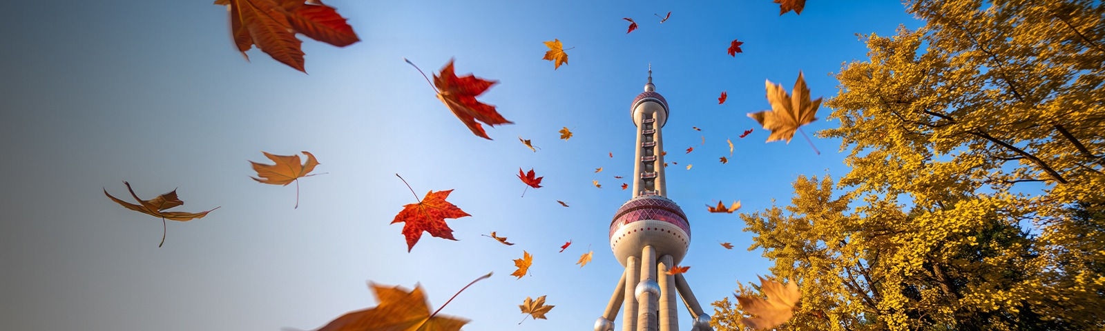 Discover autumn hues with <br/>savings of up to 20%* Plus, earn Double Avios when you flyPlus, earn Double Avios when you fly