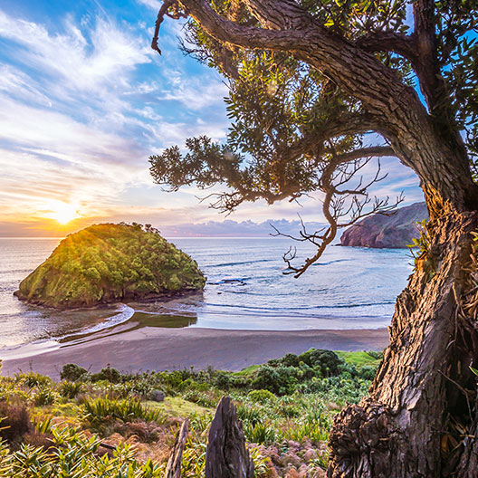 Die Besten Destinationen im Februar