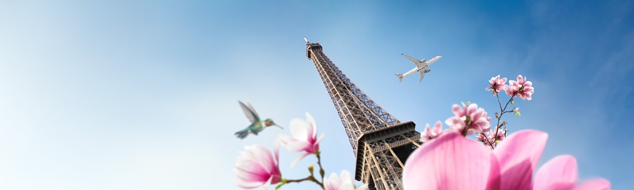 Let travel plans blossom<br>with our amazing offers Save up to 20%*Save up to 20%*