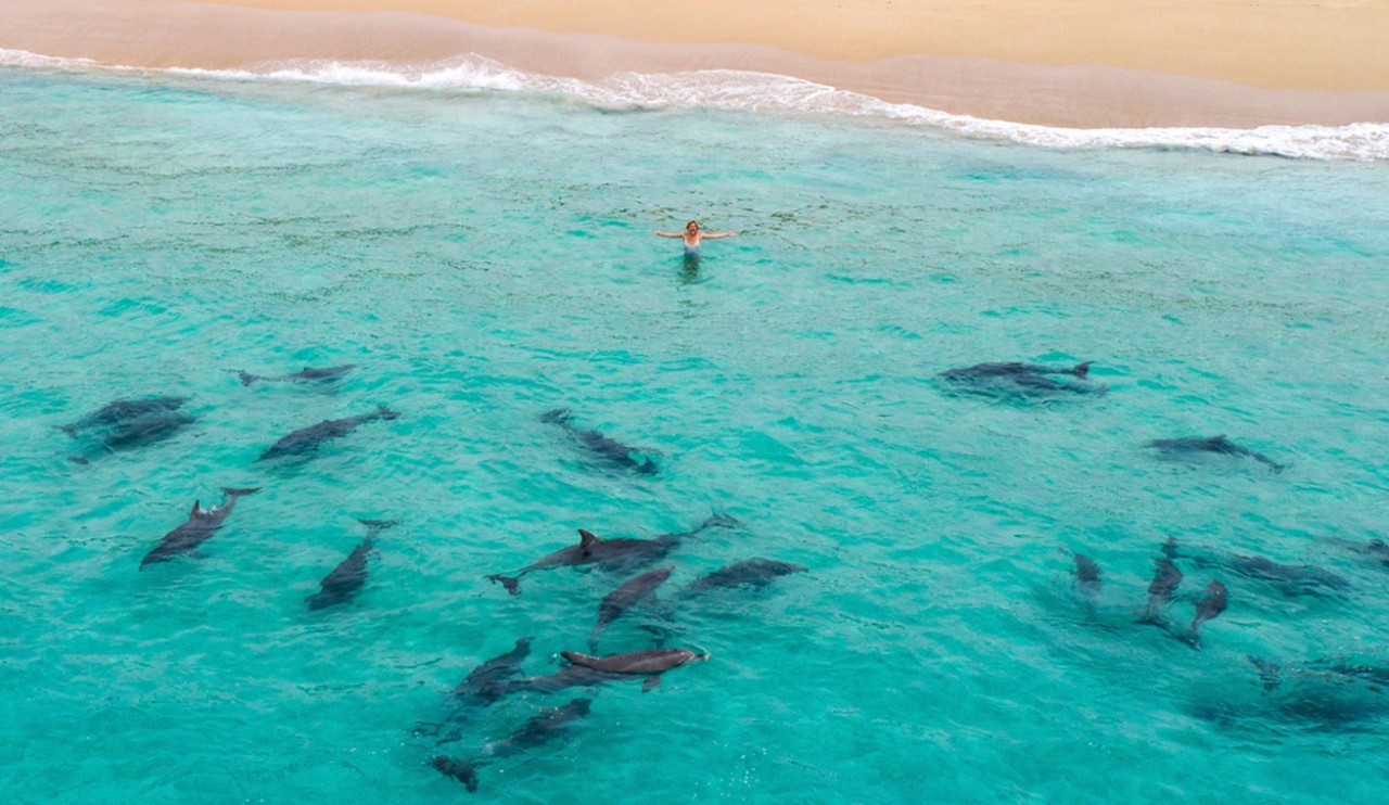 Connect to 35 destinations across Australia