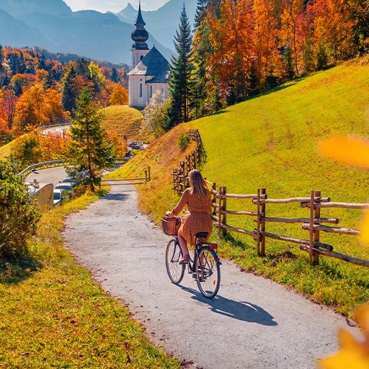 Immerse in autumn hues with our offers image
