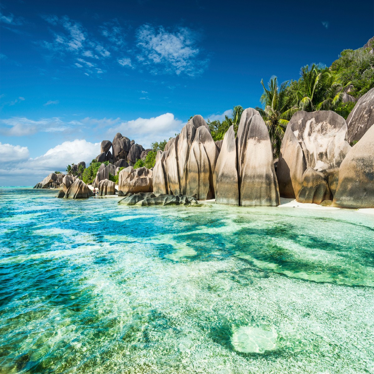 Scorpio: Seychelles, Seychelles 