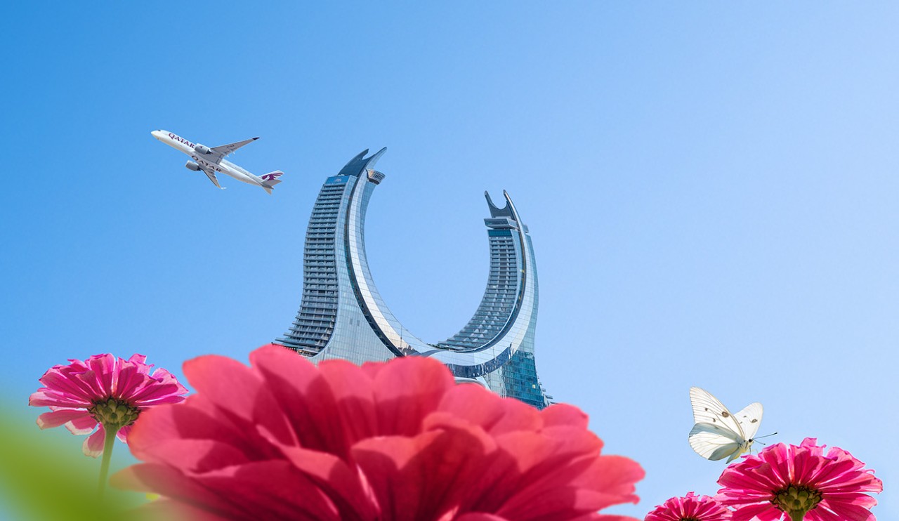 احجز توقفك المؤقت بين الرحلات