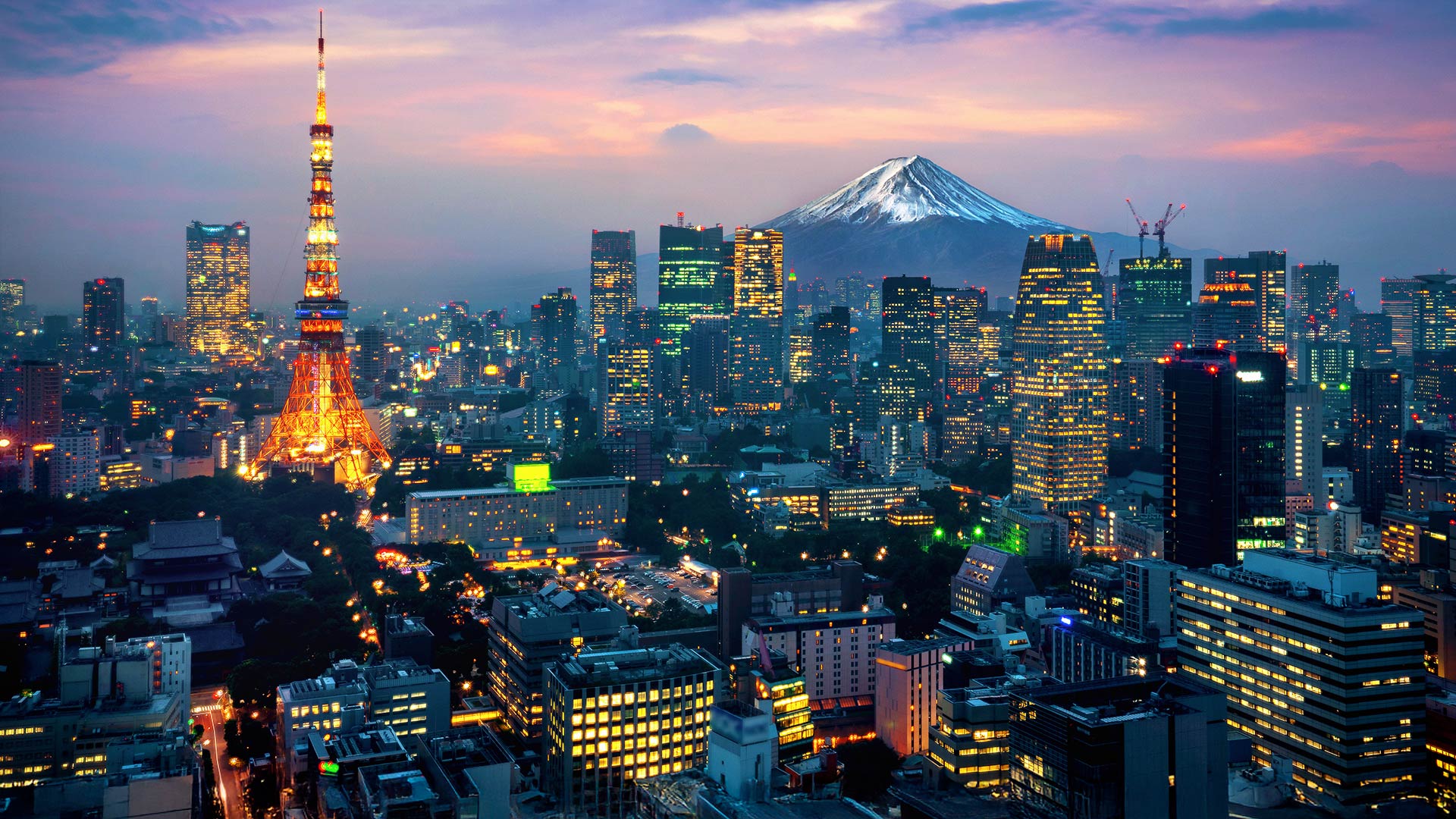Exploration in Tokyo, Japan image