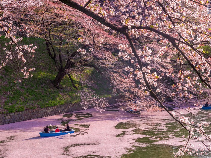 Tokyo, Japan