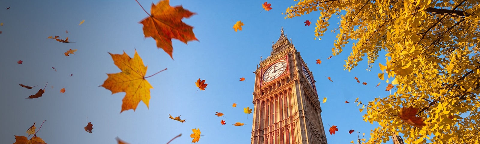 Discover autumn hues with<br> savings of up to 20%* Plus, earn double Avios when you flyPlus, earn double Avios when you fly